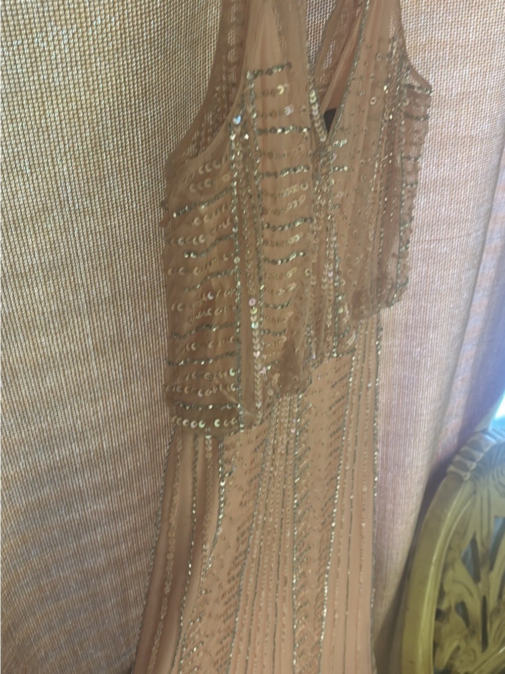 Adrianna Papell Blush  Sequined Evening Gown